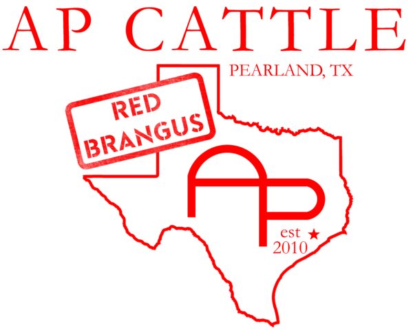 AP Cattle