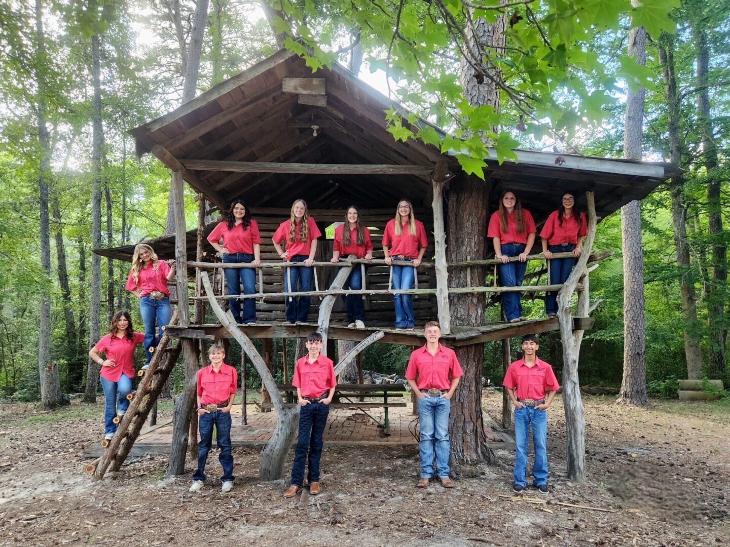 OISD-Officer Team