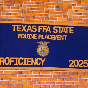 Traditional Felt Award Banner - 18"x36"