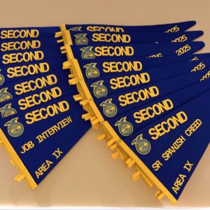 Traditional Felt Award Pennant